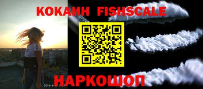 jwh Кингисепп