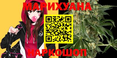 jwh Кингисепп