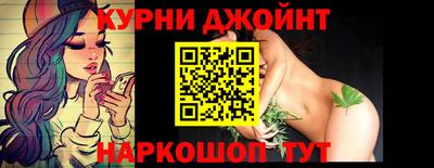 jwh Кингисепп