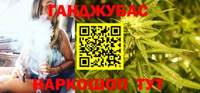 jwh Кингисепп