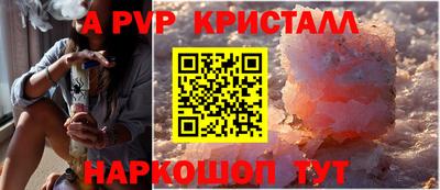 jwh Кингисепп