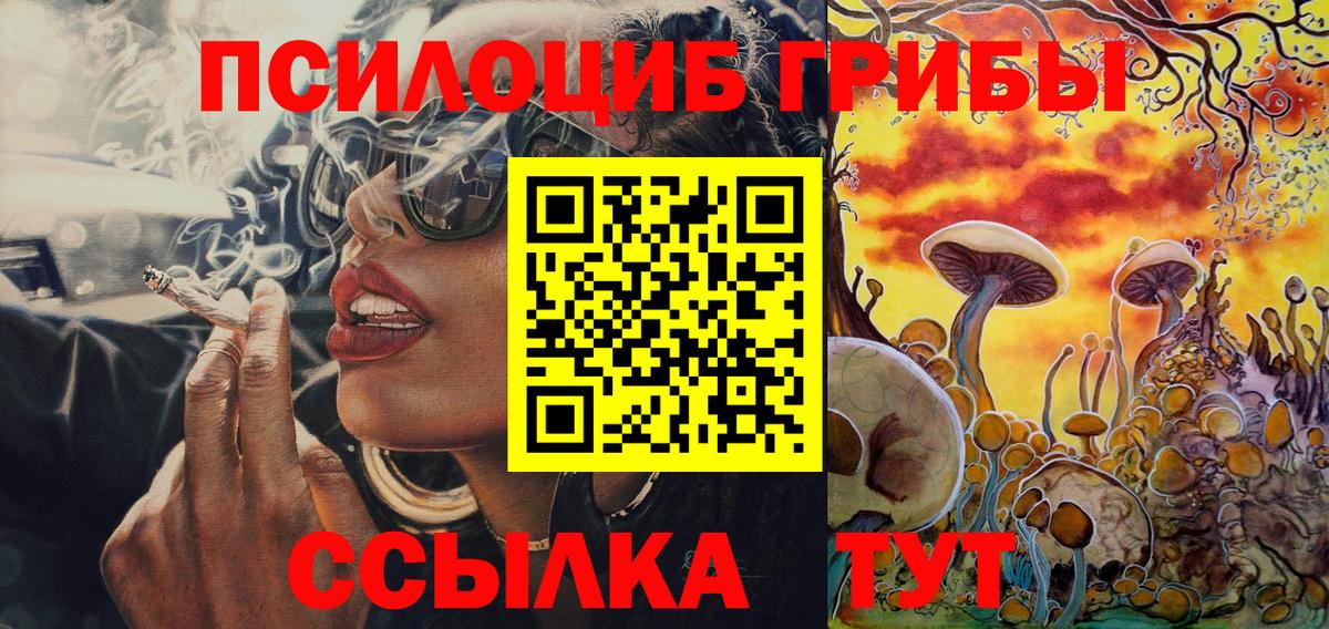 Галлюциногенные грибы Psilocybine cubensis Кудымкар