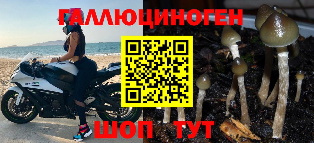 Галлюциногенные грибы Psilocybine cubensis  Вход с VPN  Кудымкар 